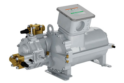 Compressor Carlyle 06NW2174
